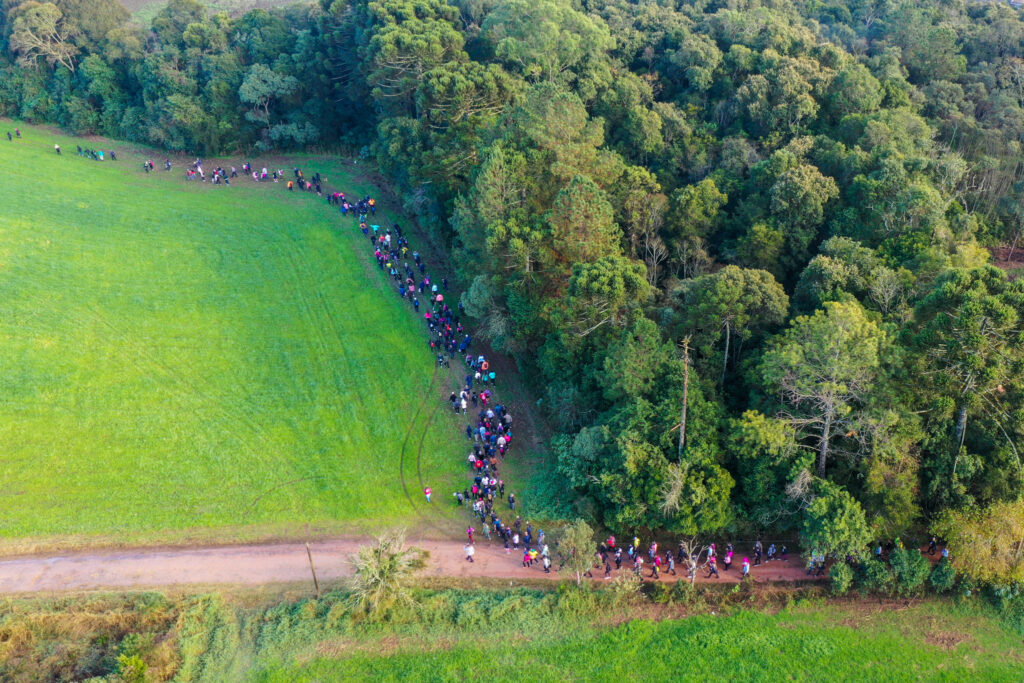 São José dos Pinhais é referência nacional em Caminhadas na Natureza