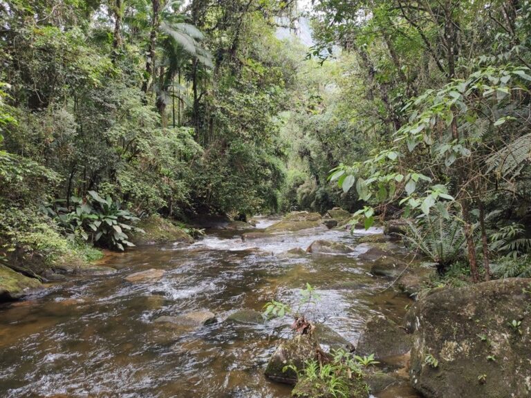 Parque Nacional Guaricana