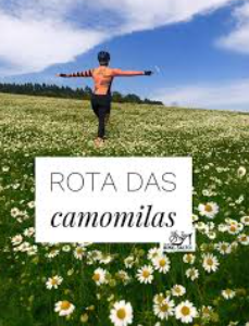 Rota cicloturística Camomilas