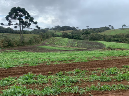 Paisagem Malhada Campos de Cultivos